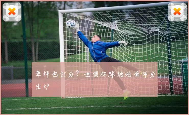 草坪也打分？世俱杯球场地面评分出炉